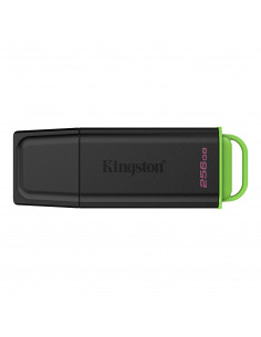 Clés USB 3.2 256Gb DTXG2 Kingston 2