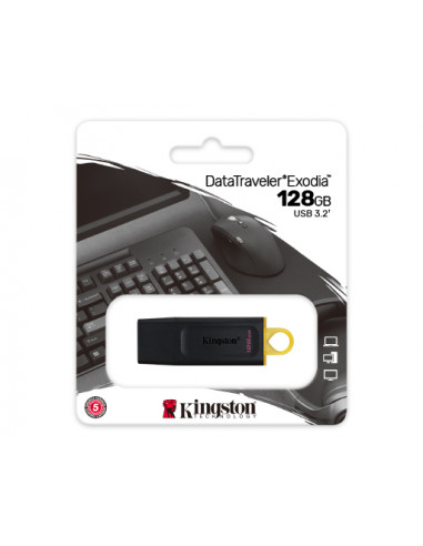 Clés USB 3.2 128Gb DTX Kingston
