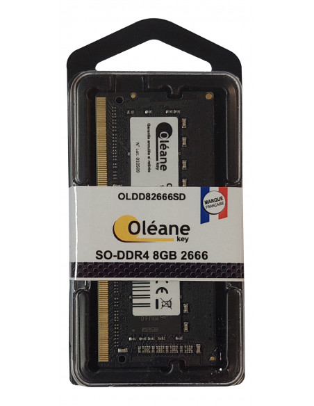 8GB SO-DDR4 2666 MHz / CL17 1.2V (PC4-19200) Oléane key