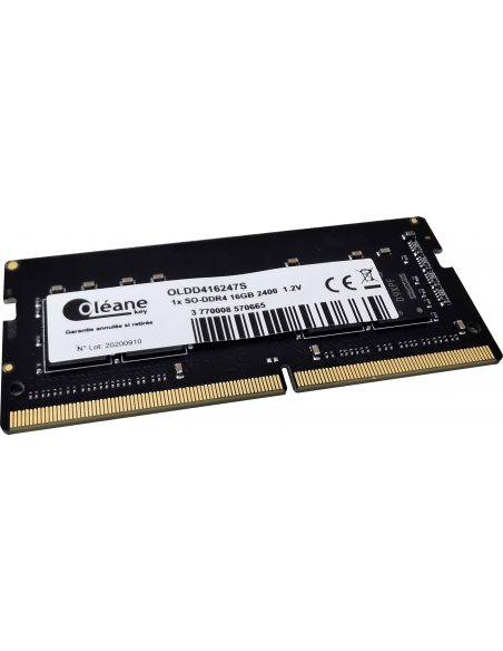 16GB SO-DDR4 2666 MHz / CL17 1.2V (PC4-19200) Oléane key