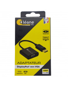 ADAPTATEUR DisplayPort vers VGA Oléane key