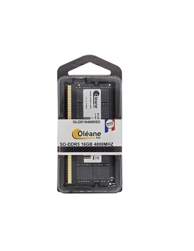 16GB SO-DDR5 4800 MHz 288Pin 1.1V Oléane key
