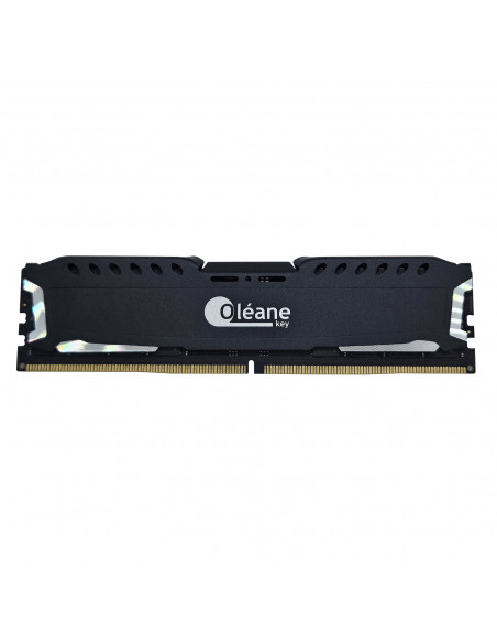 16GB DDR5 6000 MHz XMP 3.0 1.35V Oléane key