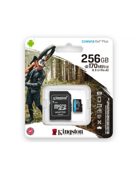 Carte mémoire Micro SDCG3 256 Go avec adaptateur SD