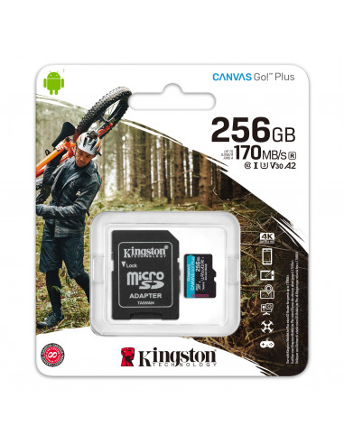 Carte mémoire Micro SDCG3 256 Go avec adaptateur SDXC