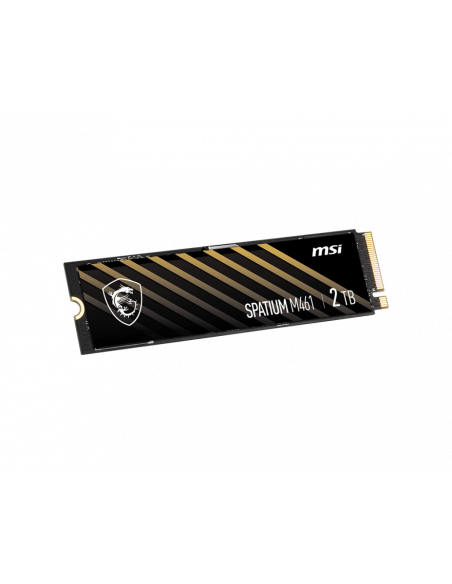 SSD MSI SPATIUM M461 PCIe 4.0 NVMe M.2 2Tb