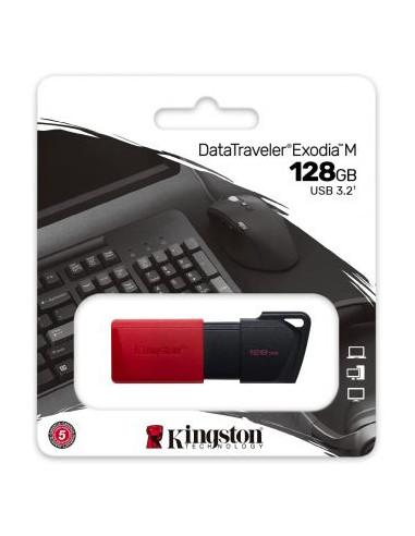 Clés USB 3.2 128Gb DTX-M Kingston
