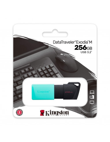 Clés USB 3.2 256Gb DTXM Kingston