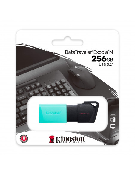 Clés USB 3.2 256Gb DTXM Kingston