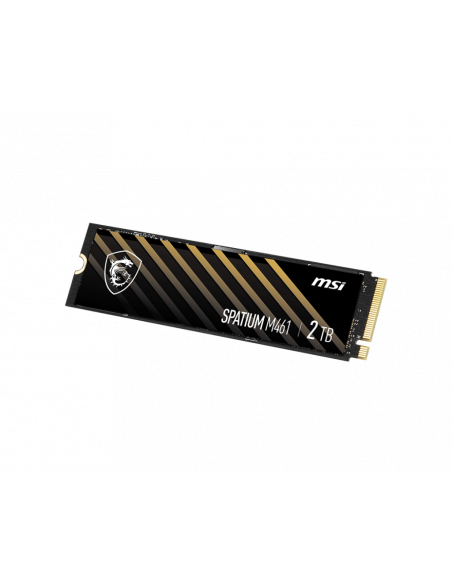 SSD MSI SPATIUM M461 PCIe 4.0 NVMe M.2 2Tb